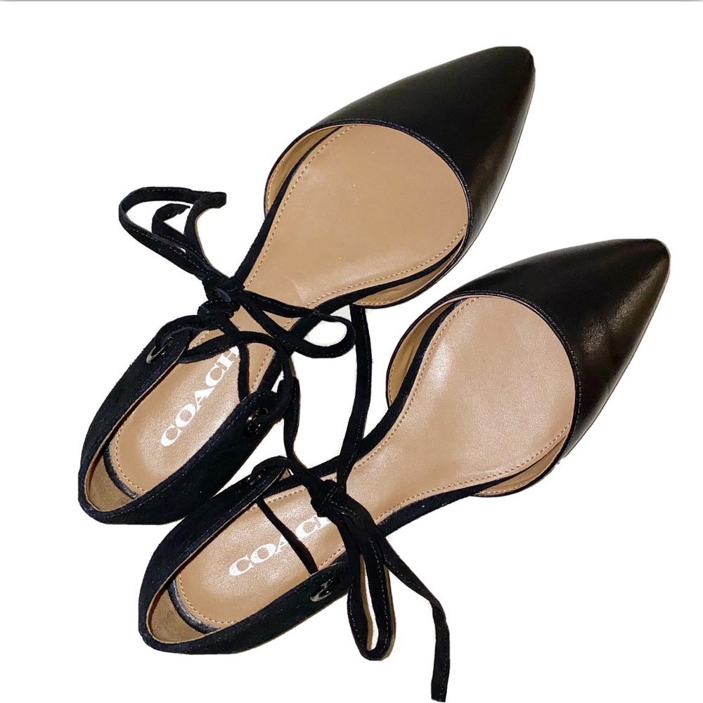 COPY - Coach Roy Suede Pointed Toe Ankle Strap Sl…